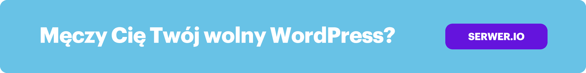 szybki wordpress hosting 1 - Jak naprawić uprawnienia plików WordPress
